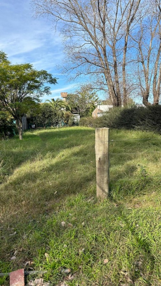 lote de terreno Los Pinos 2  -Alvarez- 
