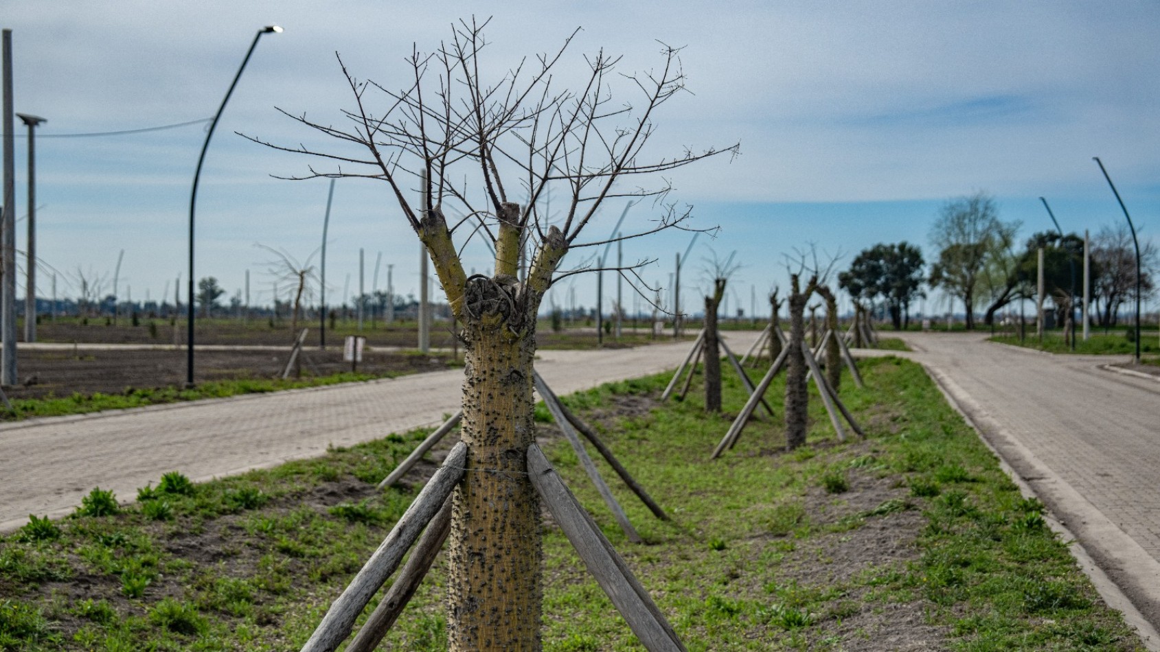 Lotes en Neander Villa Amelia