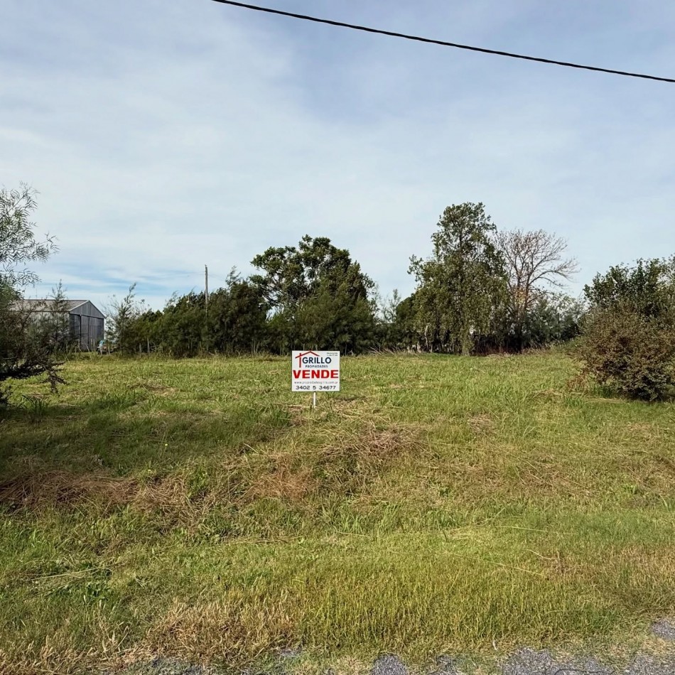 LOTE DE TERRENO VILLA AMELIA ECO VIDA