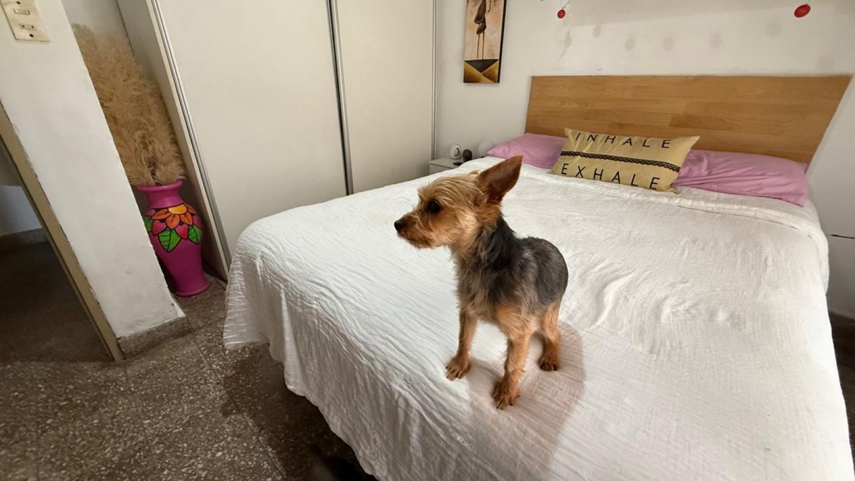 Casa con 2 Dorm. en Terreno de 450 m² en Venta en Villa Amelia