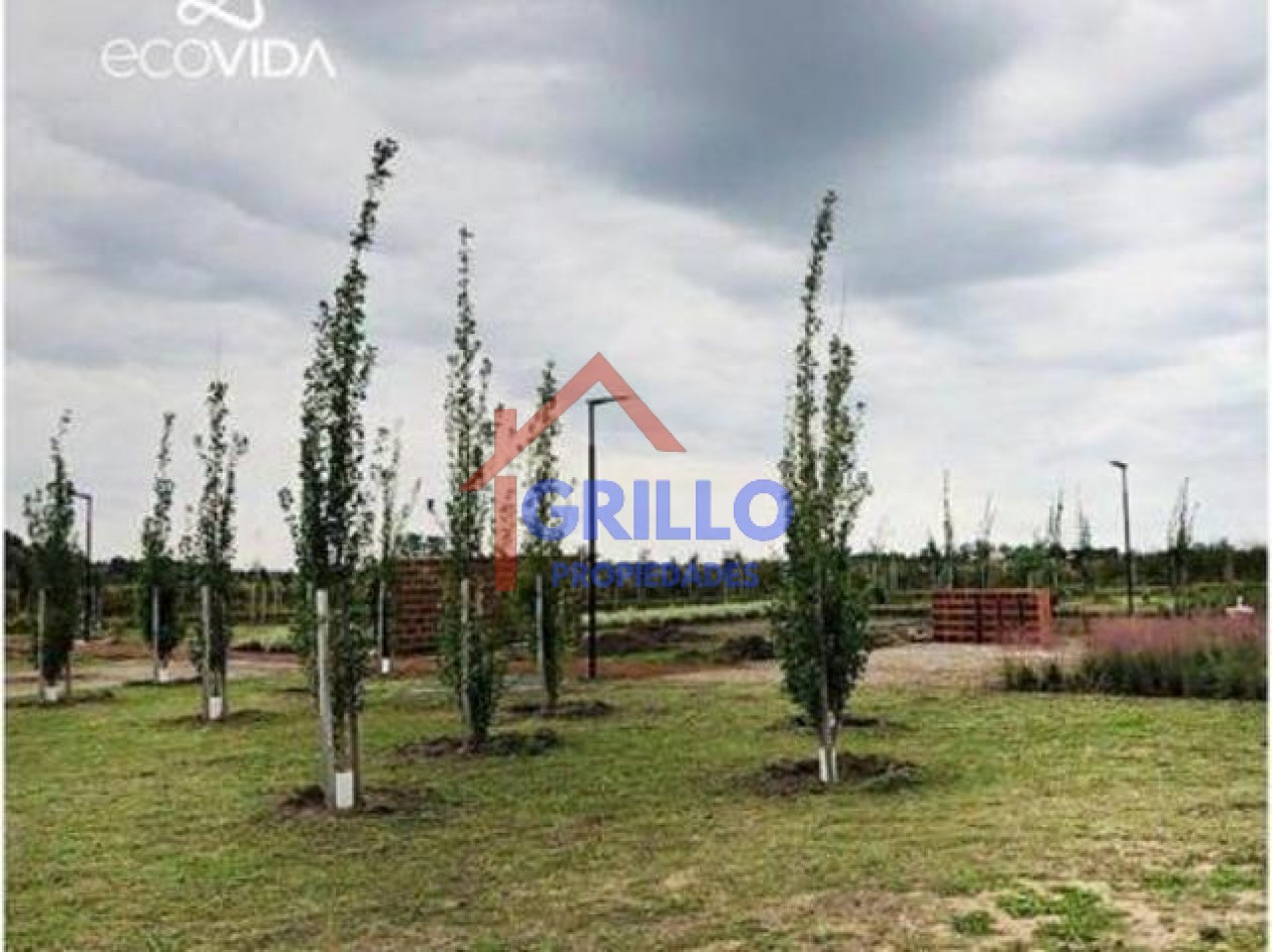 Lotes de terreno en  EcoVida. Villa Amelia.
