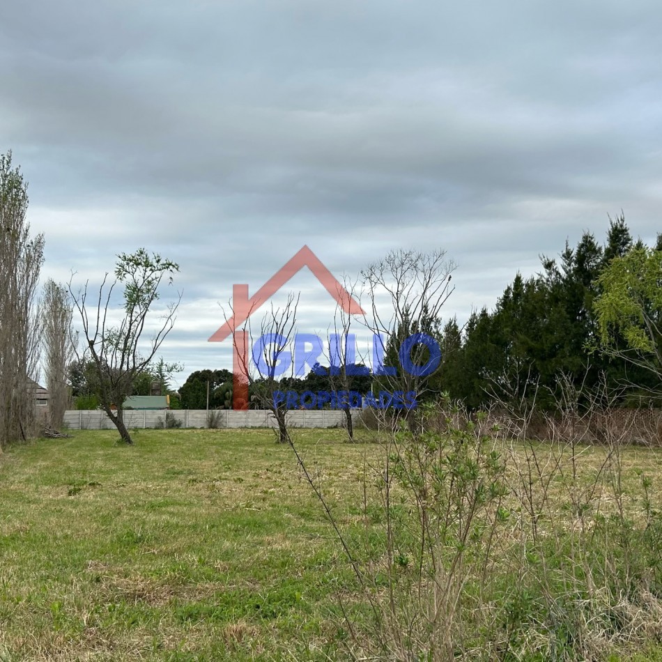  lotes de terreno  en ALBARELLOS 