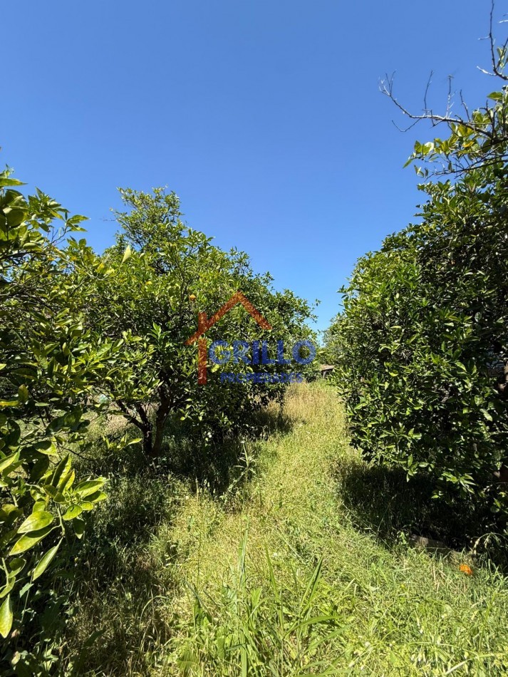 CASA EN CORONEL BOGADO