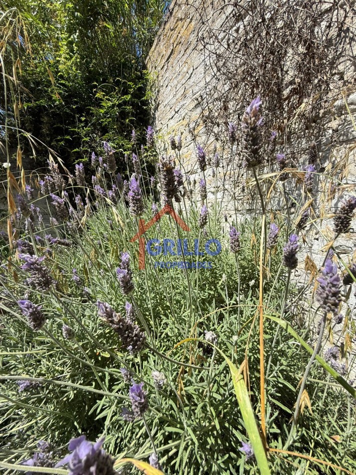 CASA EN CORONEL BOGADO