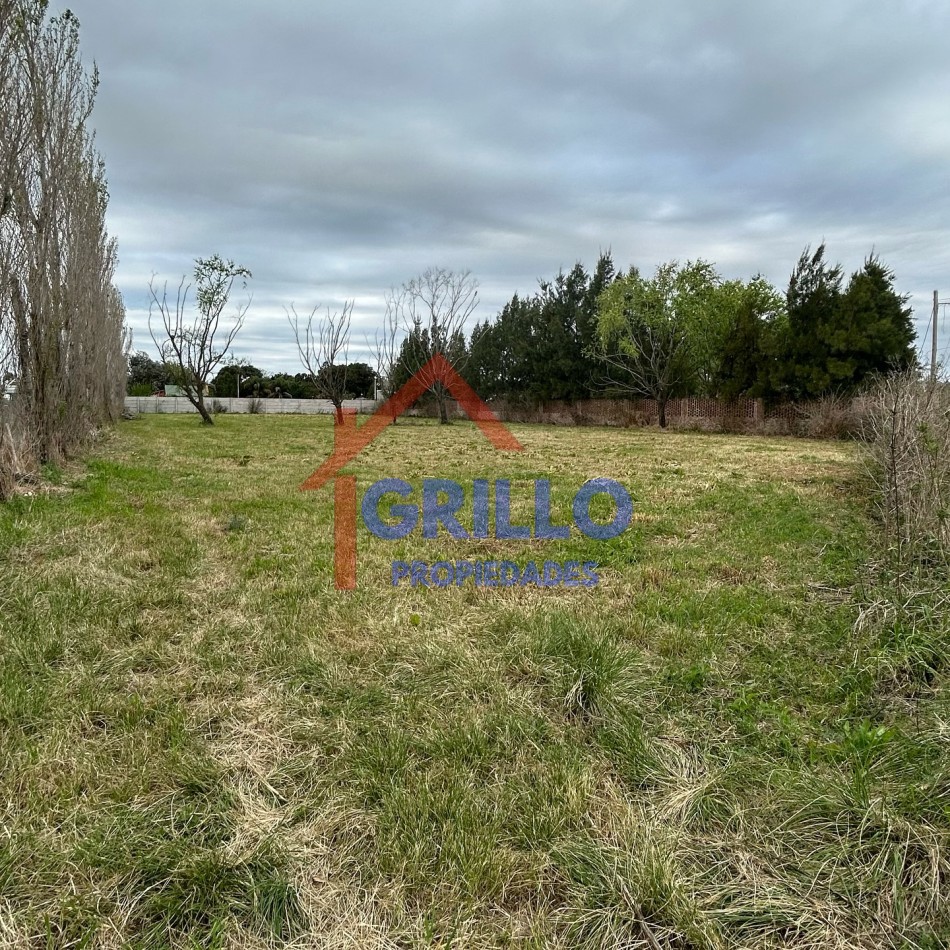  lotes de terreno  en ALBARELLOS 