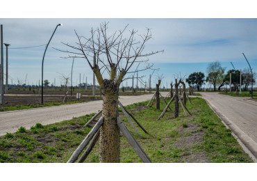 Lotes en Neander Villa Amelia