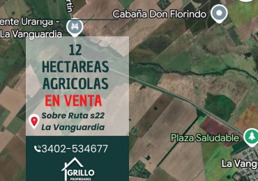 CAMPO AGRICOLA 12 HECTAREAS SOBRE RUTA