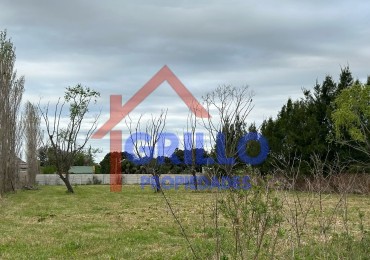  lotes de terreno  en ALBARELLOS 